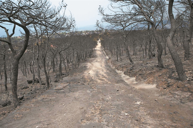 Ζώντας με τον φόβο για τα πρωτοβρόχια