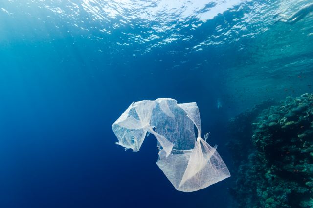 Από πλαστικό πεθαίνουν σχεδόν οι μισές χελώνες στον ωκεανό