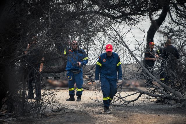 Κυρίζογλου: Πρόληψη και κατάσβεση πυρκαγιών από τις Δασικές Υπηρεσίες