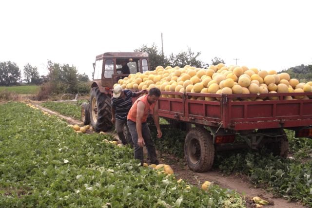 Προς πληρωμή οι επιλαχόντες νέοι αγρότες Δυτικής Ελλάδας
