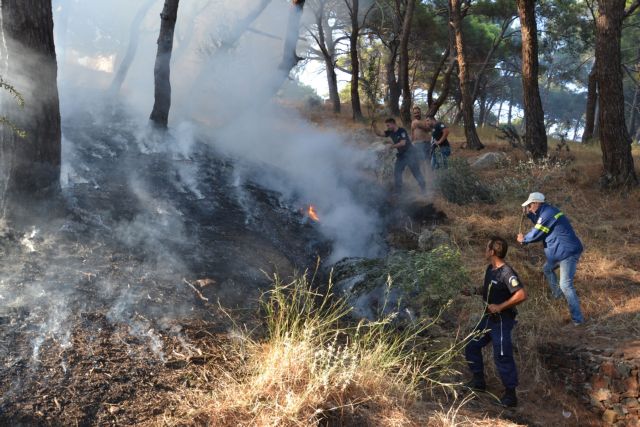 Φωτιά στην περιοχή Κελεφά Λακωνίας