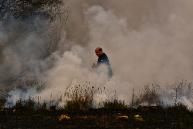 Υπό έλεγχο οι φωτιές στα Διαβατά και τη Ν. Μεσήμβρια