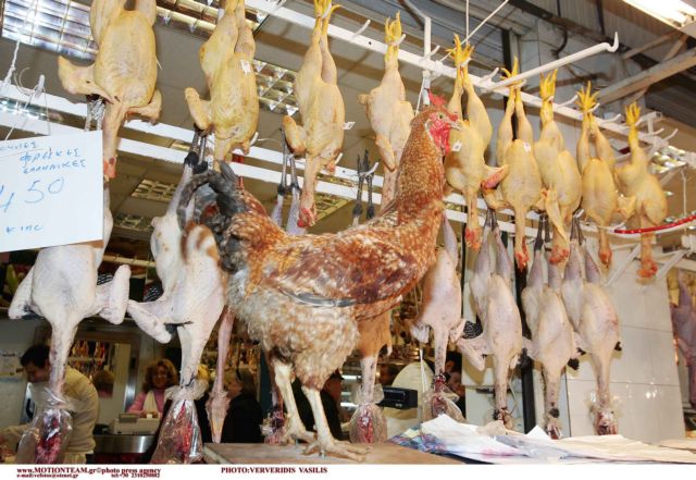 Κατασχέσεις ακατάλληλων κρεάτων στον Πειραιά