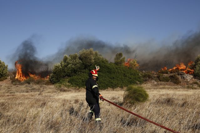 Υπό έλεγχο η πυρκαγιά στην Ηλεία