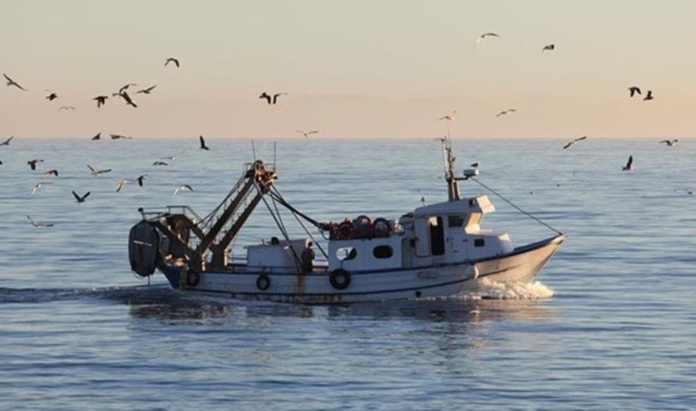 Προκλητικοί οι τούρκοι ψαράδες, ρίχνουν… δίχτυα σε «θερμό» επεισόδιο