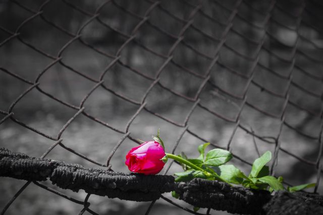 Μάτι : Εχασε μάνα κι αδερφή, περιγράφει με συγκλονιστικό τρόπο το χάος που επικρατούσε