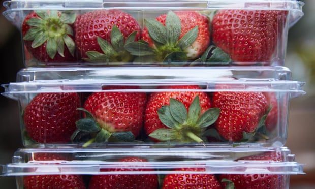 Διαστάσεις «επιδημίας» παίρνει το φαινόμενο φράουλες με βελόνες