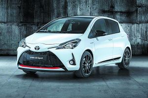 Υβριδικό με σπορ περιβολή