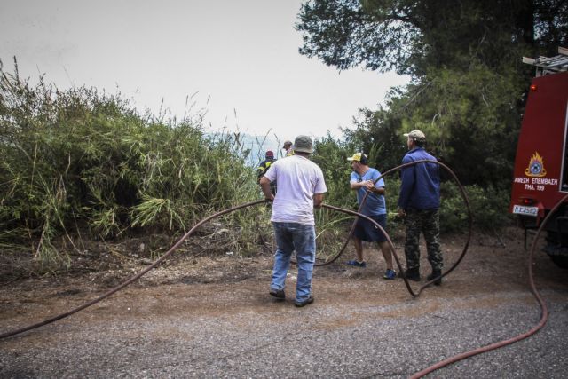 Υπό μερικό έλεγχο η πυρκαγιά κοντά στην Κίρκη Εβρου