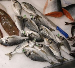 Οι Γάλλοι προτιμούν τα λαβράκια και τις τσιπούρες από την Ελλάδα