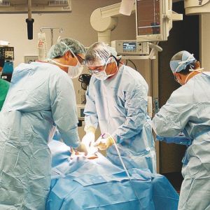 Μεταμόσχευση μήτρας και κολποπλαστική στα θέματα συνεδρίου