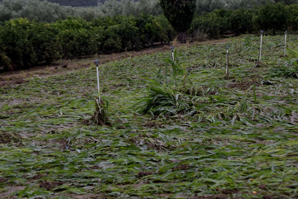 Λεφτά για αποζημιώσεις ζητούν στη δυτική Ελλάδα