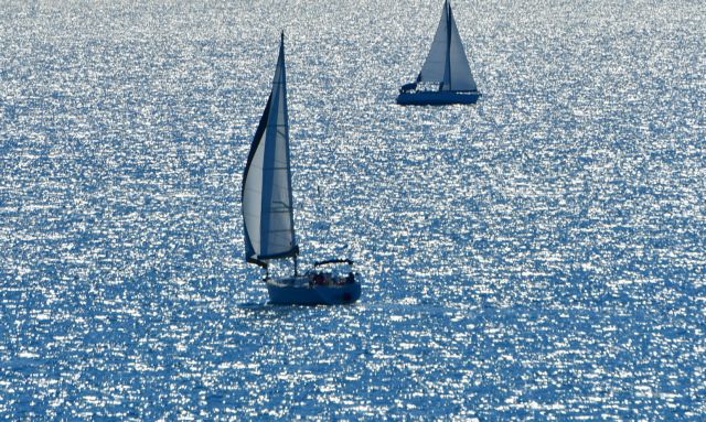 Λέξη κλειδί η διαλλακτικότητα