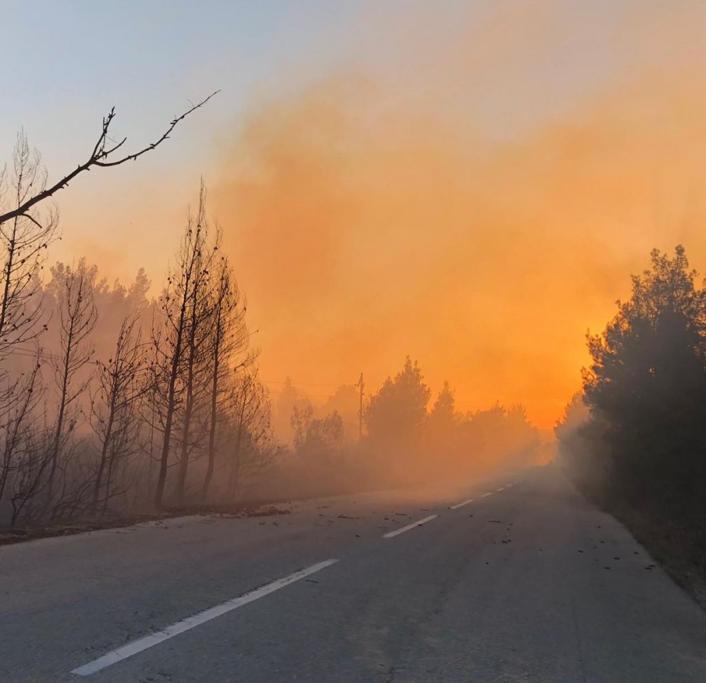 Στις φλόγες η Σιθωνία: Χωρίς ρεύμα και τηλέφωνο – Κλειστοί δρόμοι (εικόνες+video)