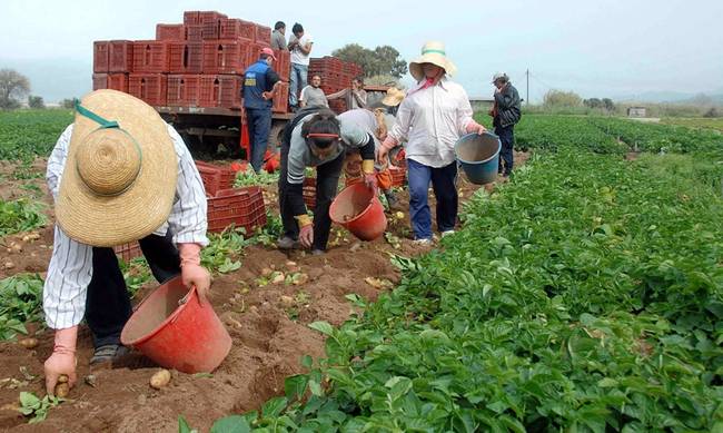 ΟΠΕΚΕΠΕ : Πληρώθηκαν οι επιδοτήσεις στους αγρότες