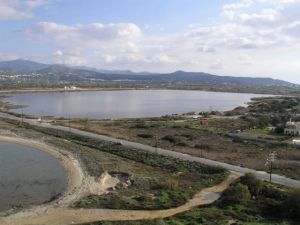 Συναγερμός στη Μεσόγειο – Το 48% των υγροτόπων έχουν εξαφανιστεί