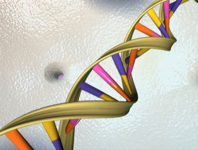 Νέα σχέση μεταξύ βλάβης DNA και καρκίνου