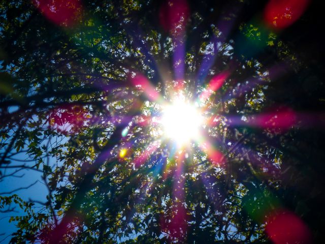 Ο Εθνικός Κήπος… αναβαθμίζεται