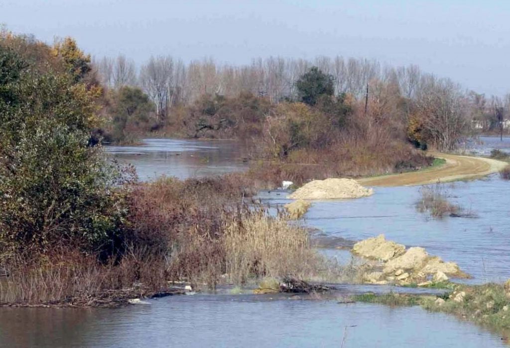 Δολοφονίες Εβρος : Σοκαριστικά τα ευρήματα από τον ιατροδικαστή