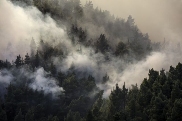 Φωτιά Χαλκιδική : Οι φλόγες έφτασαν στις παρυφές της Σάρτης – Εγκαταλείπουν τα σπίτια τους οι κάτοικοι