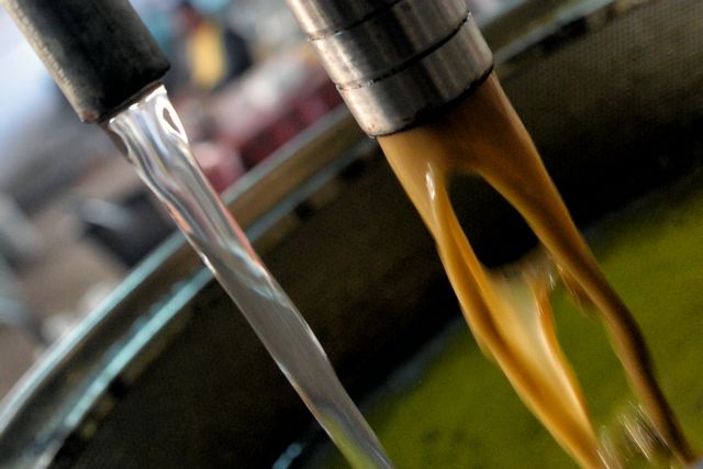 Νοθευμένο λάδι ανακαλεί ο ΕΦΕΤ από την αγορά