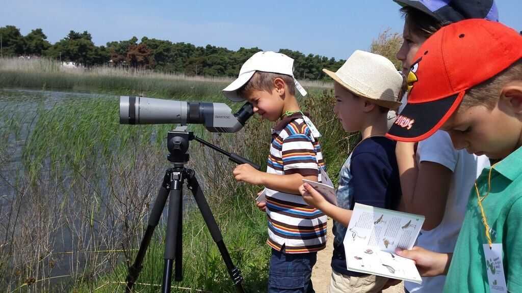 Πανευρωπαϊκή γιορτή για τη μετανάστευση των πουλιών