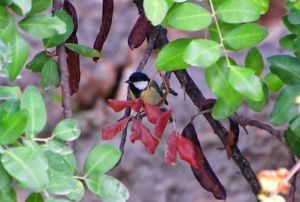 Σε ποιους αξίζει να δώσεις μία ακόμα ευκαιρία