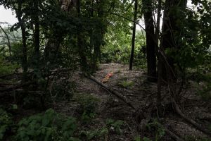 Φρίκη στον Εβρο: Εδεσαν και έσφαξαν τις τρεις γυναίκες