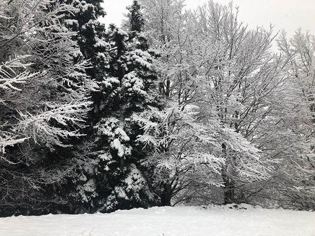 Μαγικές εικόνες από τα πρώτα χιόνια
