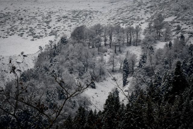 Το έστρωσε στη Φλώρινα: Κλειστά τα σχολεία τη Δευτέρα