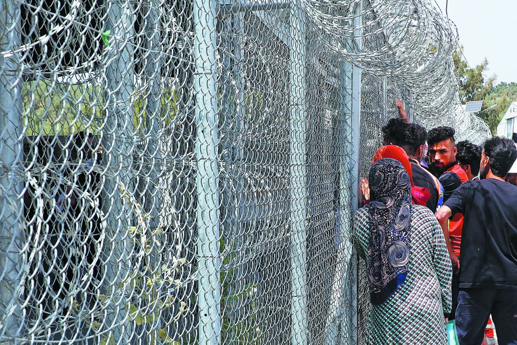 Λαβράκια βγάζει η έρευνα