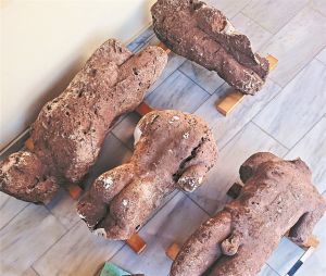 Οι ελιές, η πέτρα και οι κούροι