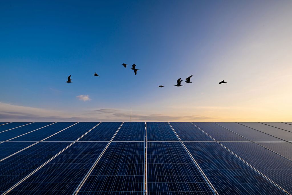 Η βιώσιμη ανάπτυξη είναι το κλειδί για μία μακροπρόθεσμα πετυχημένη επιχείρηση