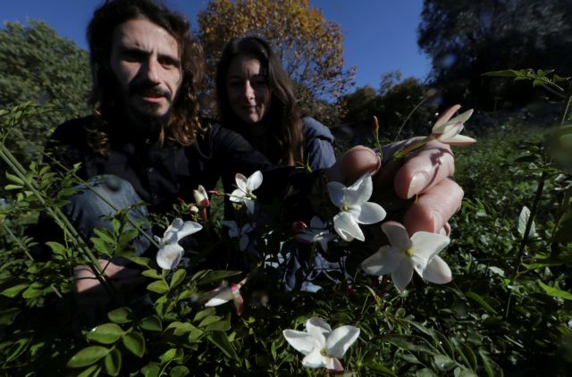 Η κοιτίδα της αρωματοποιίας Γκρας στον κατάλογο της UNESCO