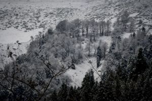 Οι πιο ζεστοί χειμώνες γίνονται «σύμμαχοι» της εγκληματικότητας