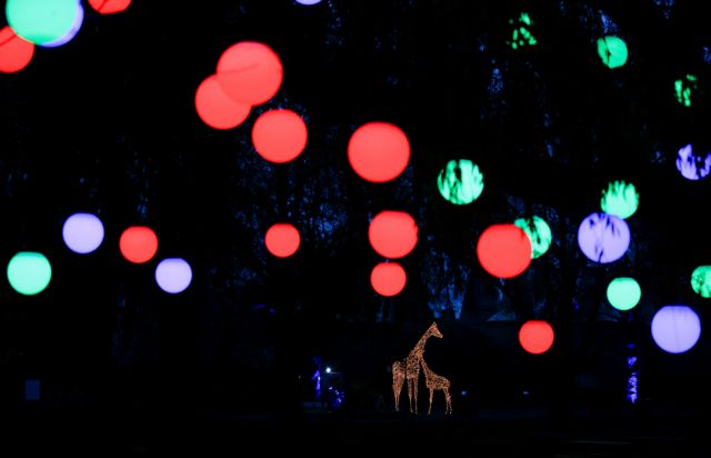 Τα γιορτινά του έβαλε και ο ζωολογικός κήπος του Λονδίνου