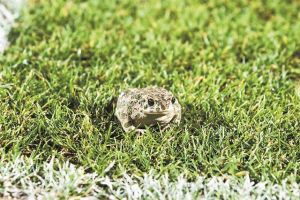 Μαθήματα από έναν υπερμαραθωνοδρόμο
