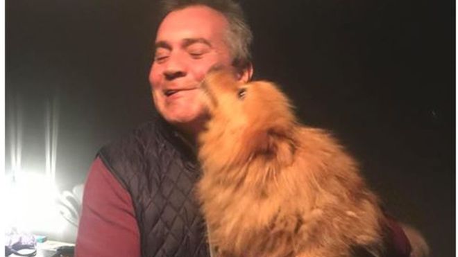 Σκύλος που είχε κλαπεί από το Λονδίνο βρέθηκε στο Μπάνγκορ