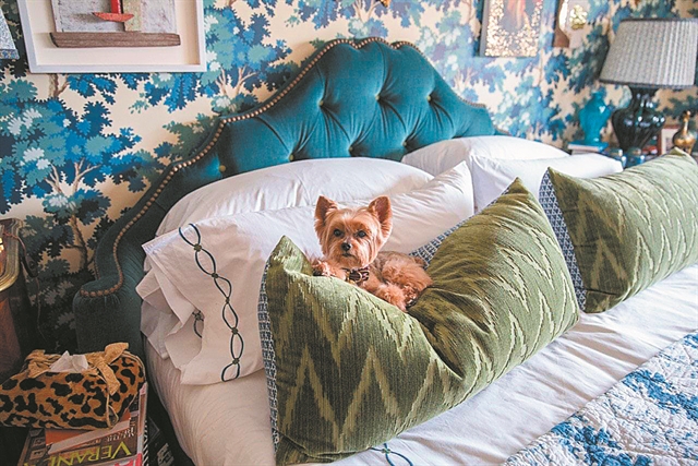 Τα Pugs πρωταγωνιστές στον «Τελευταίο αυτοκράτορα»