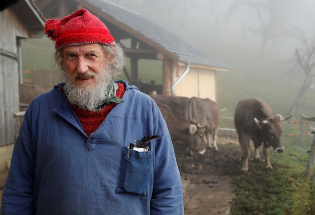 Ελβετία: Την Κυριακή ψηφίζουν εάν θα έχουν αγελάδες με κέρατα ή μη!