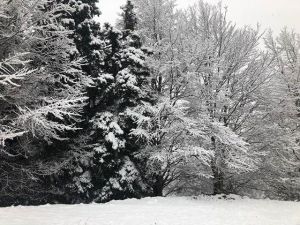 Μαγικές εικόνες από τα πρώτα χιόνια