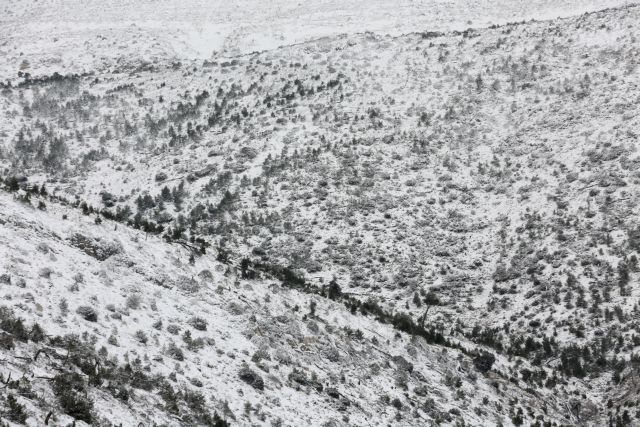 Διακοπή κυκλοφορίας στην Πάρνηθα