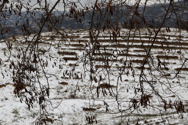 Λίβανος: Δέκα πρόσφυγες νεκροί σε χιονοθύελλα