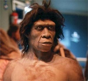 Ο Homo erectus ήταν ο πρώτος που μίλησε πριν 1,5 εκατ. χρόνια