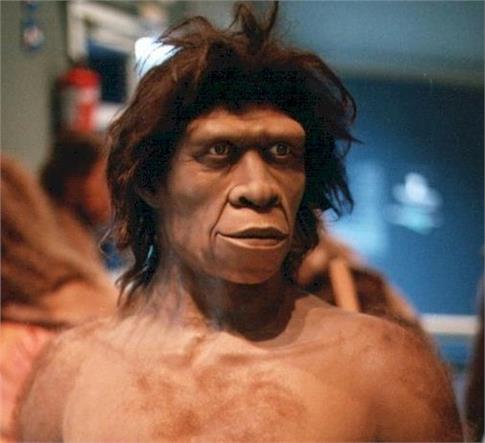 Ο Homo erectus ήταν ο πρώτος που μίλησε πριν 1,5 εκατ. χρόνια | tanea.gr