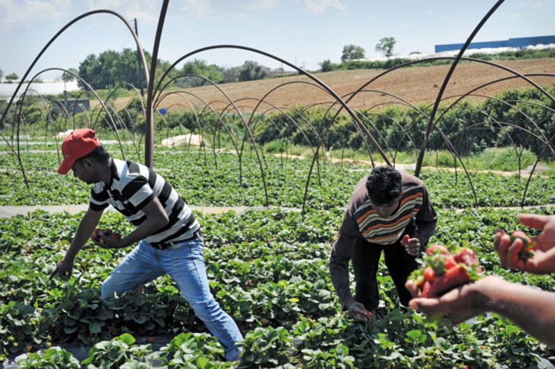 Αντιμέτωποι με τη βία και τον ρατσισμό οι μετανάστες εργάτες