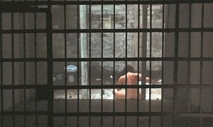 Στο καταφύγιο της τέχνης