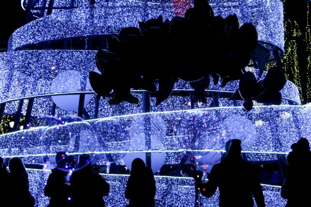 Τα δένδρα της ζωής μας