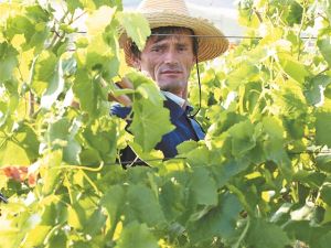 Εμπειρίες made in Greece στην Airbnb