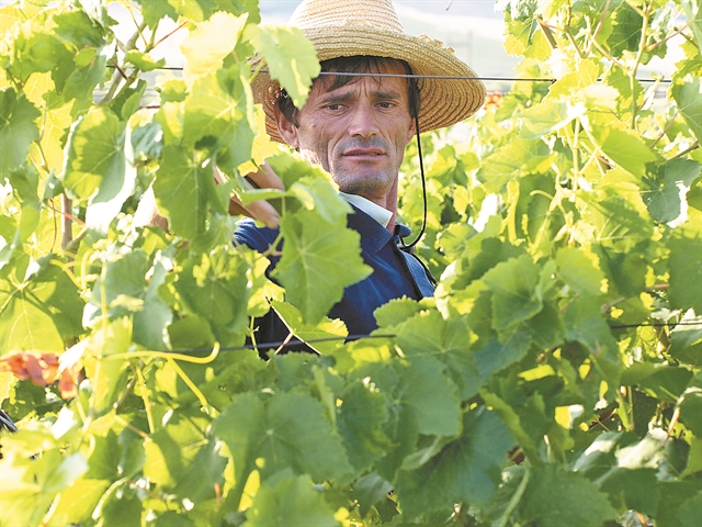 Εμπειρίες made in Greece στην Airbnb